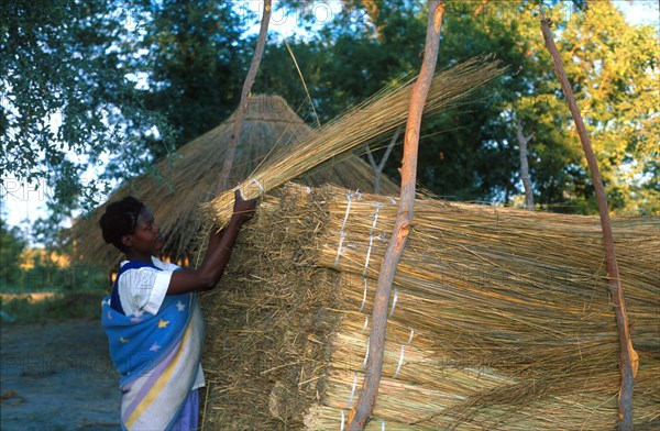 storing grass bundles for thatching