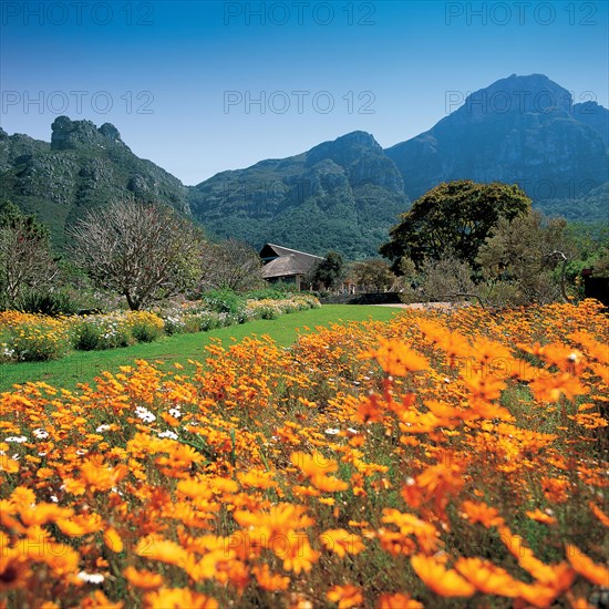 KIRSTENBOSCH NATIONAL BOTANICAL GARDENS