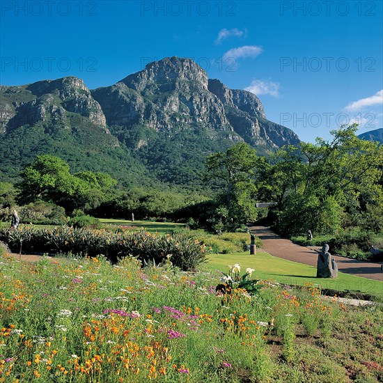 KIRSTENBOSCH NATIONAL BOTANICAL GARDENS