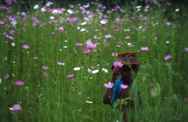 boy amongst the cosmos