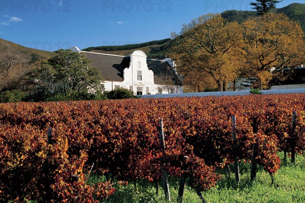 CONSTANTIA WINE ESTATE