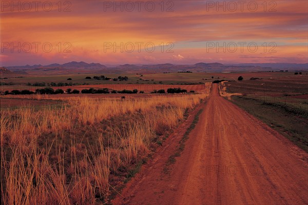 SUNSET OVER ROLLING CROPLANDS