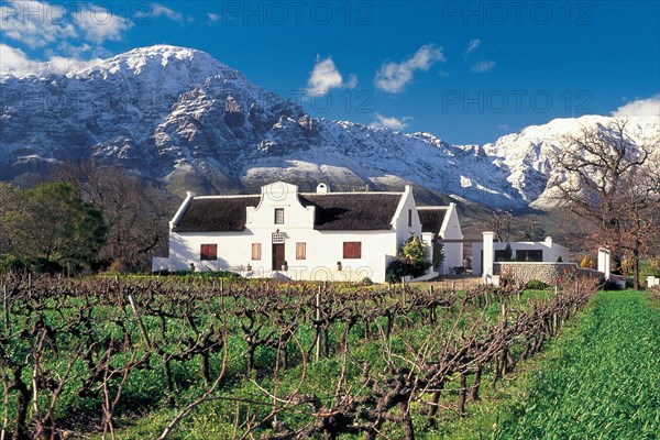 A BOLAND WINE FARM