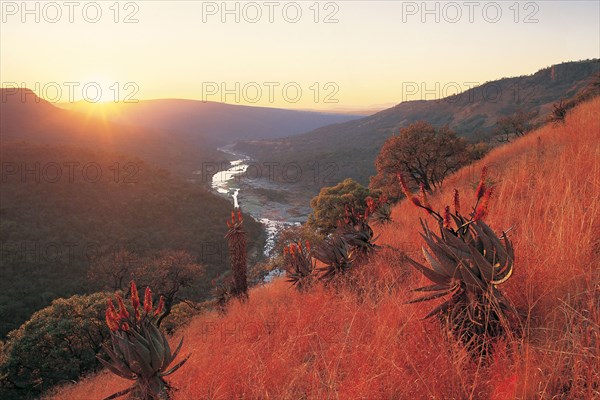 ANGLO-ZULU BATTLEFIELD,