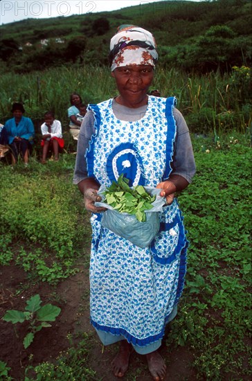 Indigenous vegetables, Masakhane  community gardens