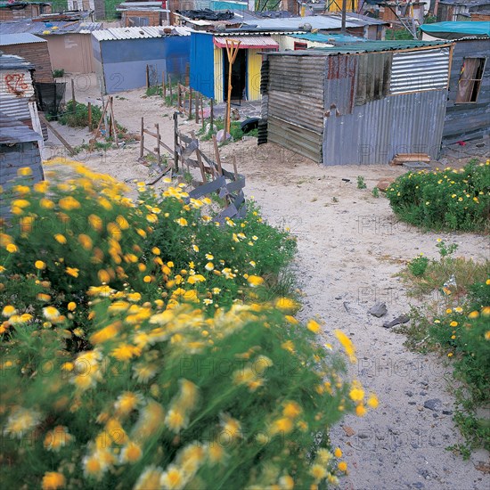 AN INFORMAL SETTLEMENT