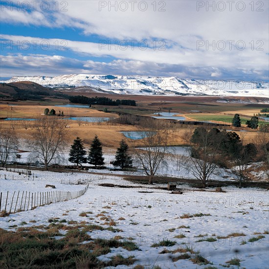 WINTERTIME IN THE FOOTHILLS OF THE DRAKENSBERG