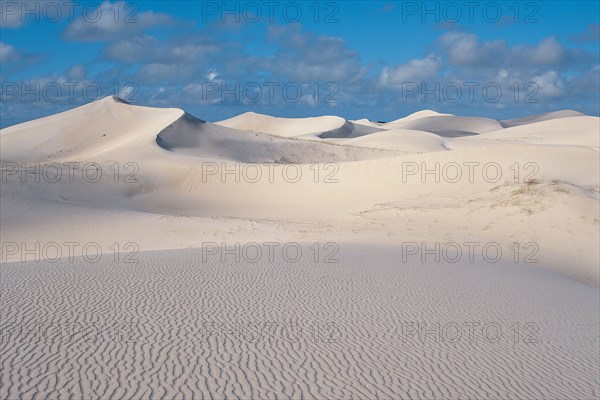 DE HOOP SAND DUNES