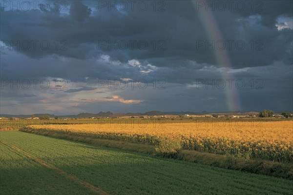 ORANGE RIVER VALLEY