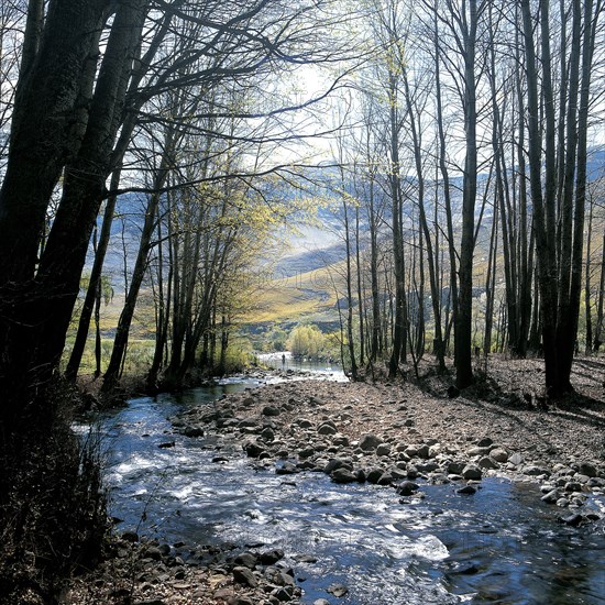 TROUT FISHING