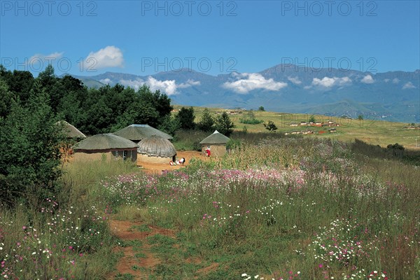ZULU HUTS
