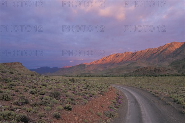 SUNRISE IN THE GAMKAPOORT