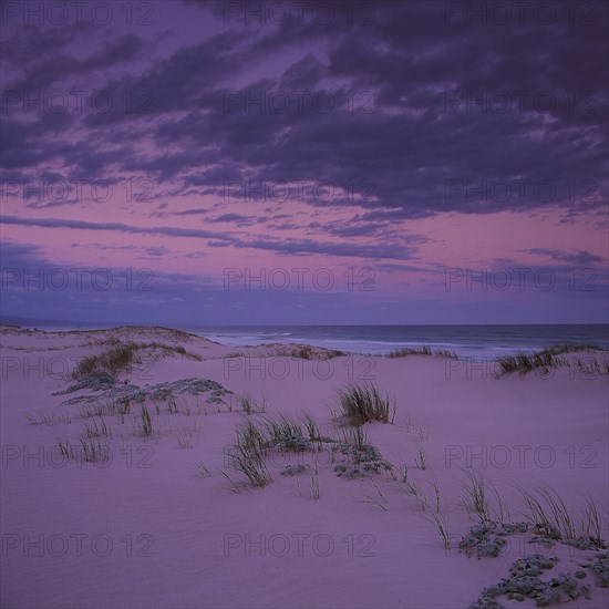 SAND DUNES