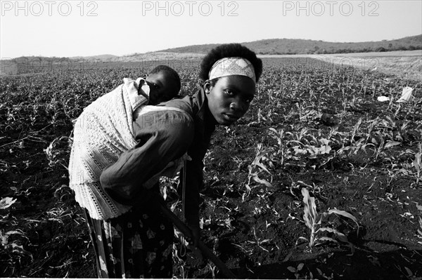 Woman works fields with child on back