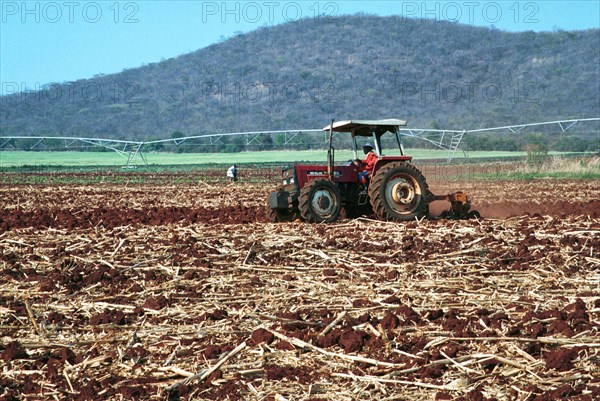 Zimbabwean agricultural production