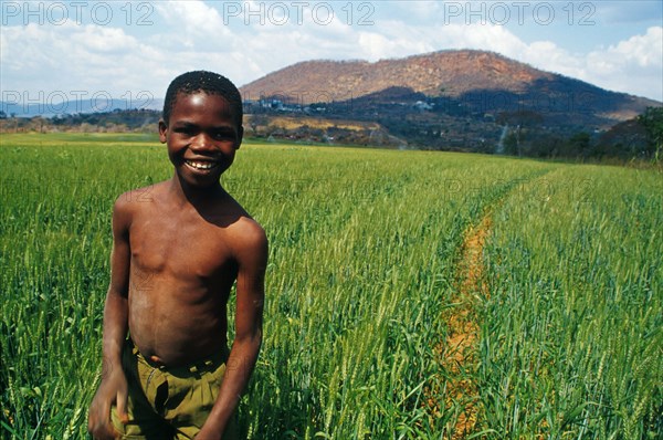 Poverty in rural Zimbabwe is now worst among former farm workers and their families as a result of the government