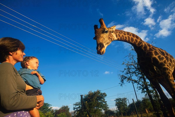 Giraffe and child