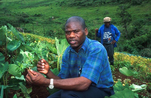 indigenous foods