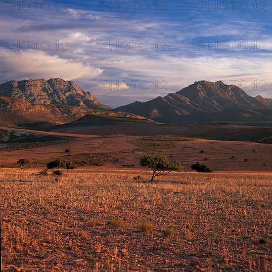 Little Karoo