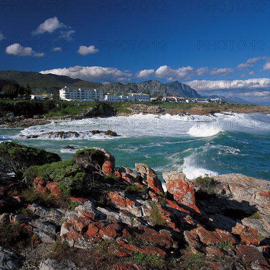 Hermanus