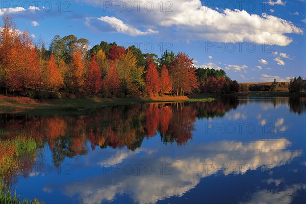 AUTUMN REFLECTIONS