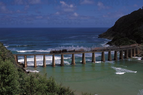 OUTENIQUA CHOO-TJOE