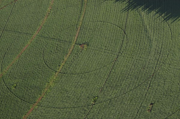 aerial view of field