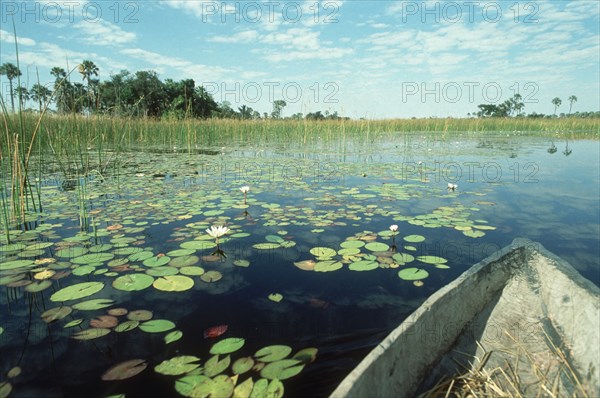 Okavango Delta