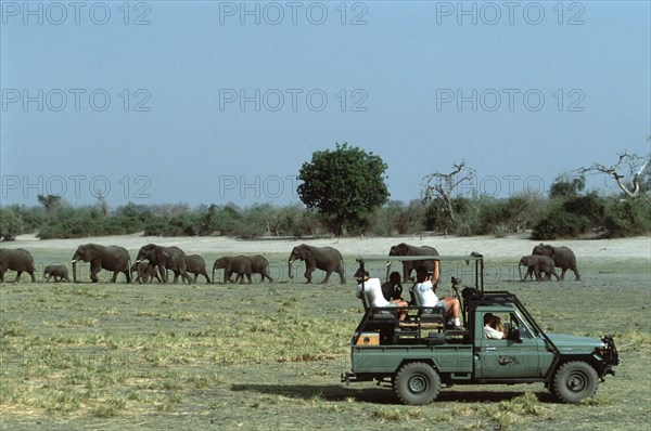 Game viewing