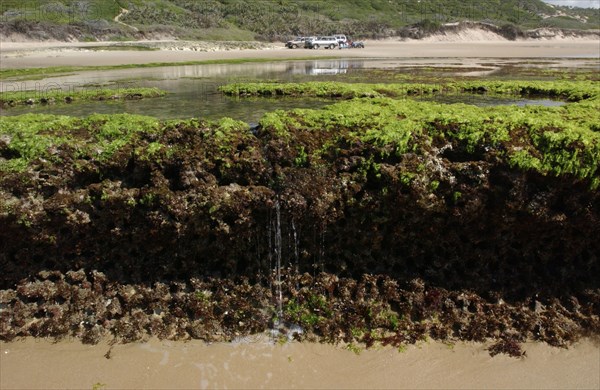 rock pool