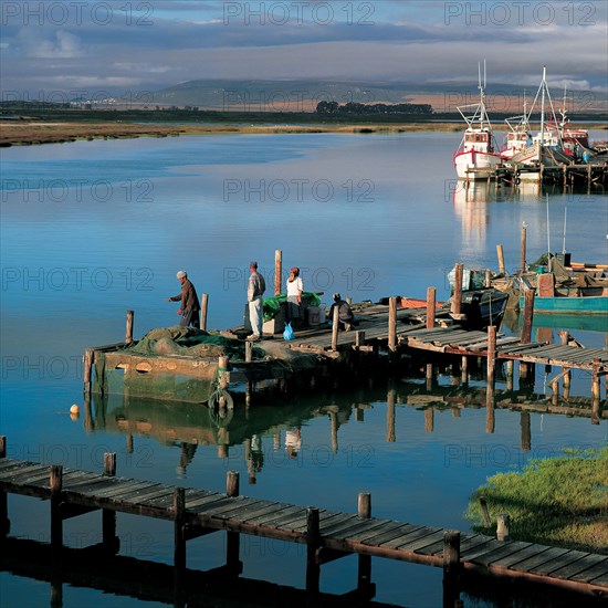 FISHERMEN AT VELDDRIF HARBOUR