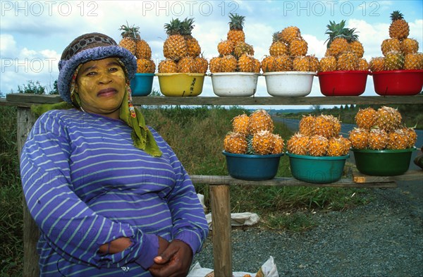 Queen pineapples