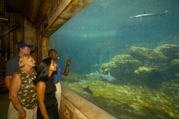 Aquarium uShaka Seaworld