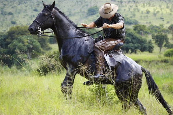 De la Harpe, Visiteurs avec les Safaris 'South African Horse Back"