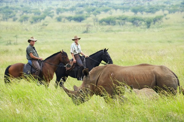 De la Harpe, Visiteurs en safari à cheval