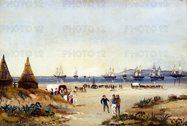 Van der Berg, Colons britanniques dans la baie d'Algoa