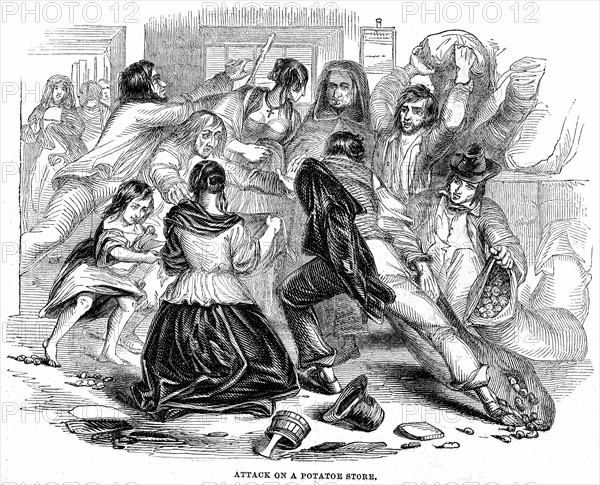 Pénurie de pommes de terre en Irlande, juin 1842