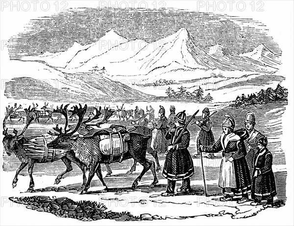 Gravure représentant des Lapons migrant avec leurs rennes chargés de paquets