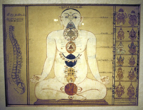 Six chakras représentant les plexus du corps humain