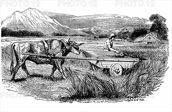 Engraving showing the reconstruction of Roman reaping cart, as described by Pliny