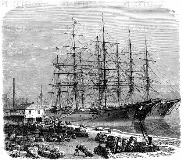 Engraving, showing loading bales of cotton for export, Savannah, Georgia