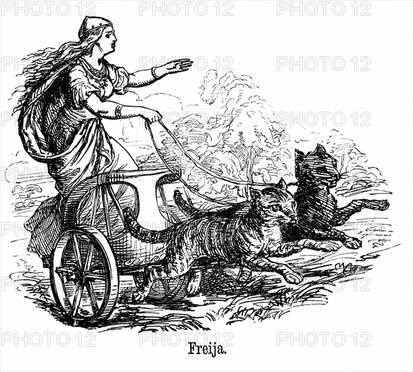 Freya or Frigg goddess of love in Scandinavian mythology, wife of Wotan or Odin, driving her chariot pulled by cats