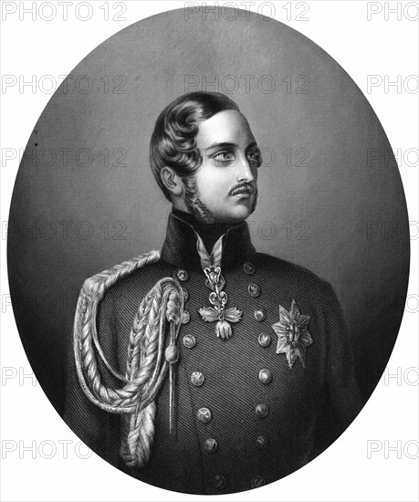 Portrait of Albert, Prince Consort