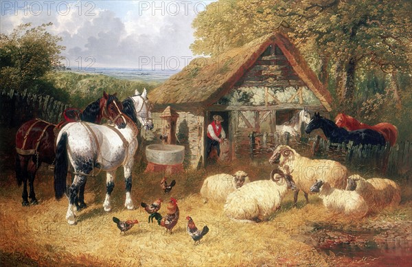 Farmyard scene