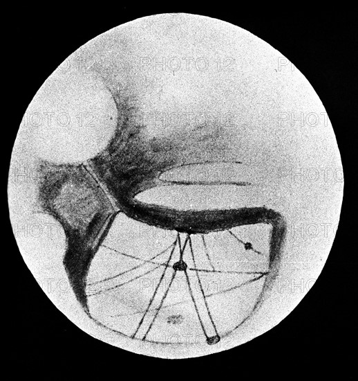 Percival Lowell, Mars