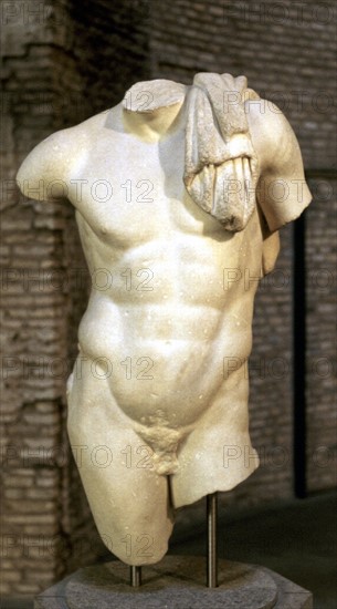 Sculpture de Torse Masculin