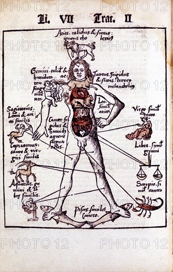 Les Rapports entre les Différents Organes du Corps Humain, les Humeurs et les Signes du Zodiaque