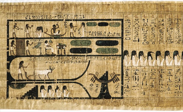 Book of the Dead on papyrus showing written hieroglyphs