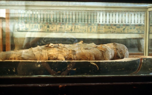 Mummy wrapped in bandages and lying on base of coffin