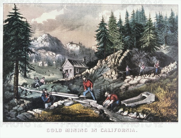 Gold Mining in California